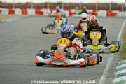 _DSC4366 copie